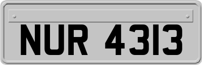 NUR4313