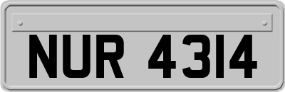 NUR4314