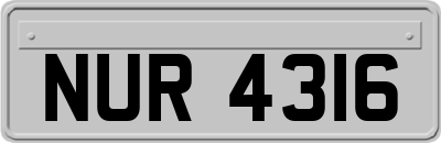 NUR4316