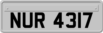 NUR4317