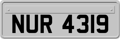NUR4319