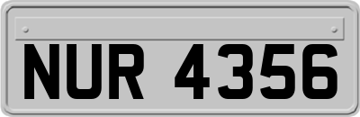 NUR4356