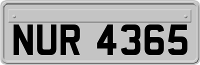 NUR4365