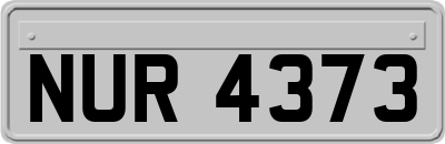 NUR4373