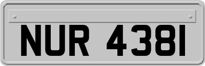 NUR4381