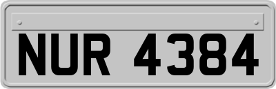 NUR4384
