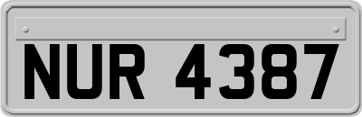 NUR4387