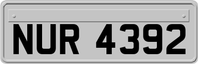 NUR4392