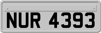 NUR4393