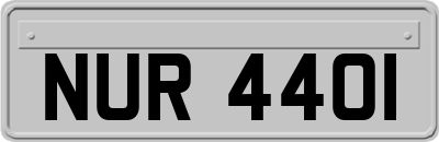 NUR4401