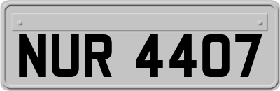 NUR4407