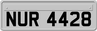 NUR4428