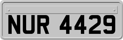 NUR4429