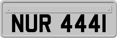 NUR4441