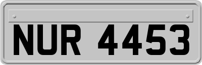 NUR4453