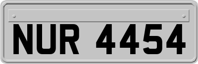 NUR4454