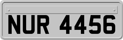 NUR4456
