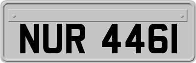 NUR4461