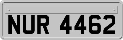 NUR4462