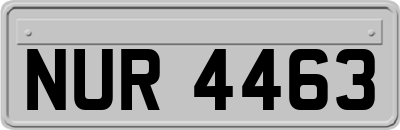 NUR4463