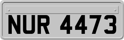 NUR4473
