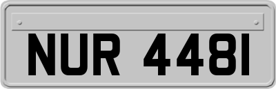 NUR4481