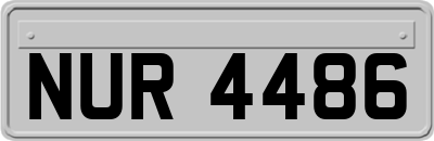 NUR4486