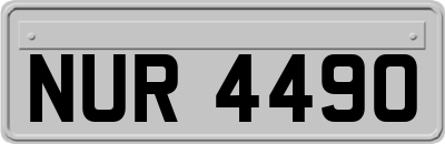 NUR4490