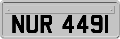 NUR4491