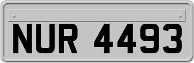 NUR4493