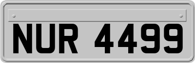 NUR4499
