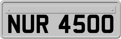 NUR4500
