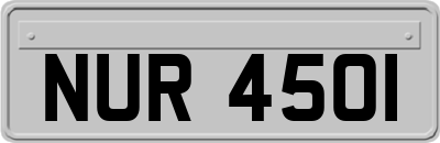 NUR4501