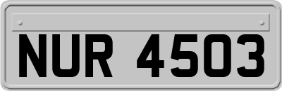 NUR4503