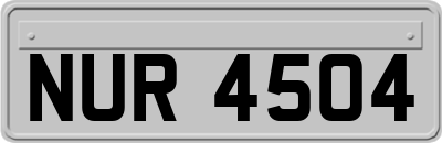 NUR4504
