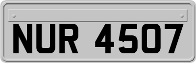 NUR4507
