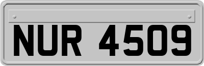 NUR4509
