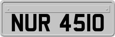 NUR4510