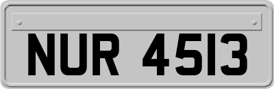 NUR4513