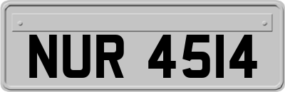 NUR4514