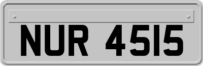 NUR4515