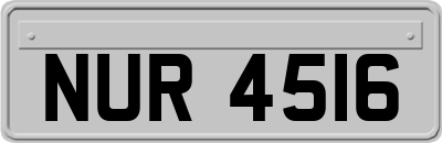 NUR4516