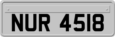 NUR4518