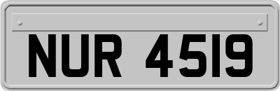 NUR4519