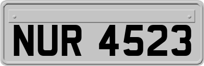NUR4523