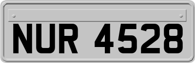 NUR4528