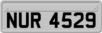 NUR4529