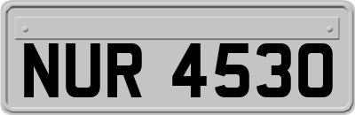 NUR4530