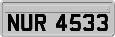 NUR4533
