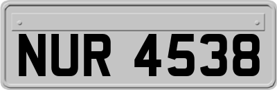 NUR4538